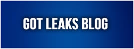 Got Leaks Blog